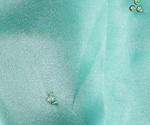 Sahaana/Organza silk